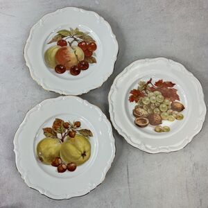 VTG Winterling Set of 3 Salad Plates - Fruits‎ Nuts Bavaria Germany